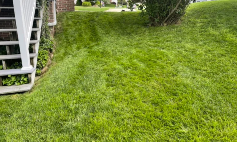 Landscaping a steep backyard in Abingdon MD